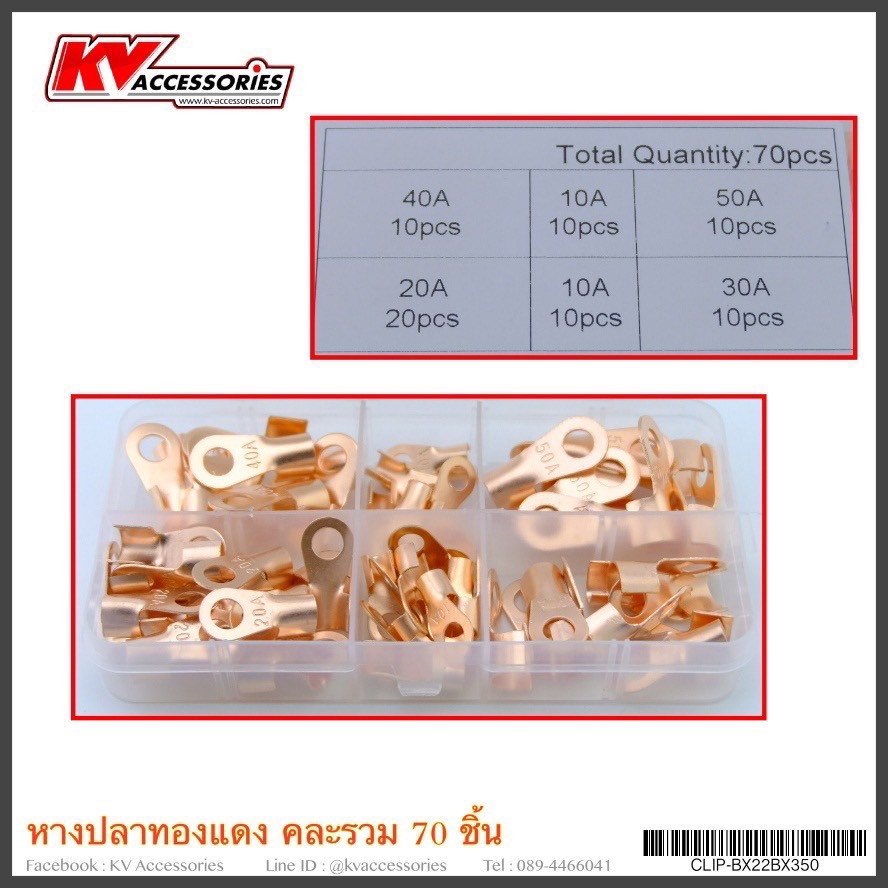 หางปลาทองแดง